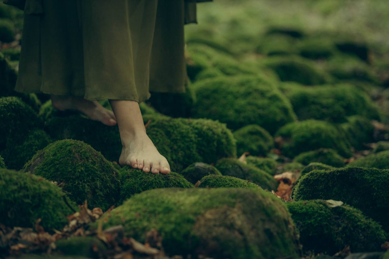 Арт‑проекты фотографии