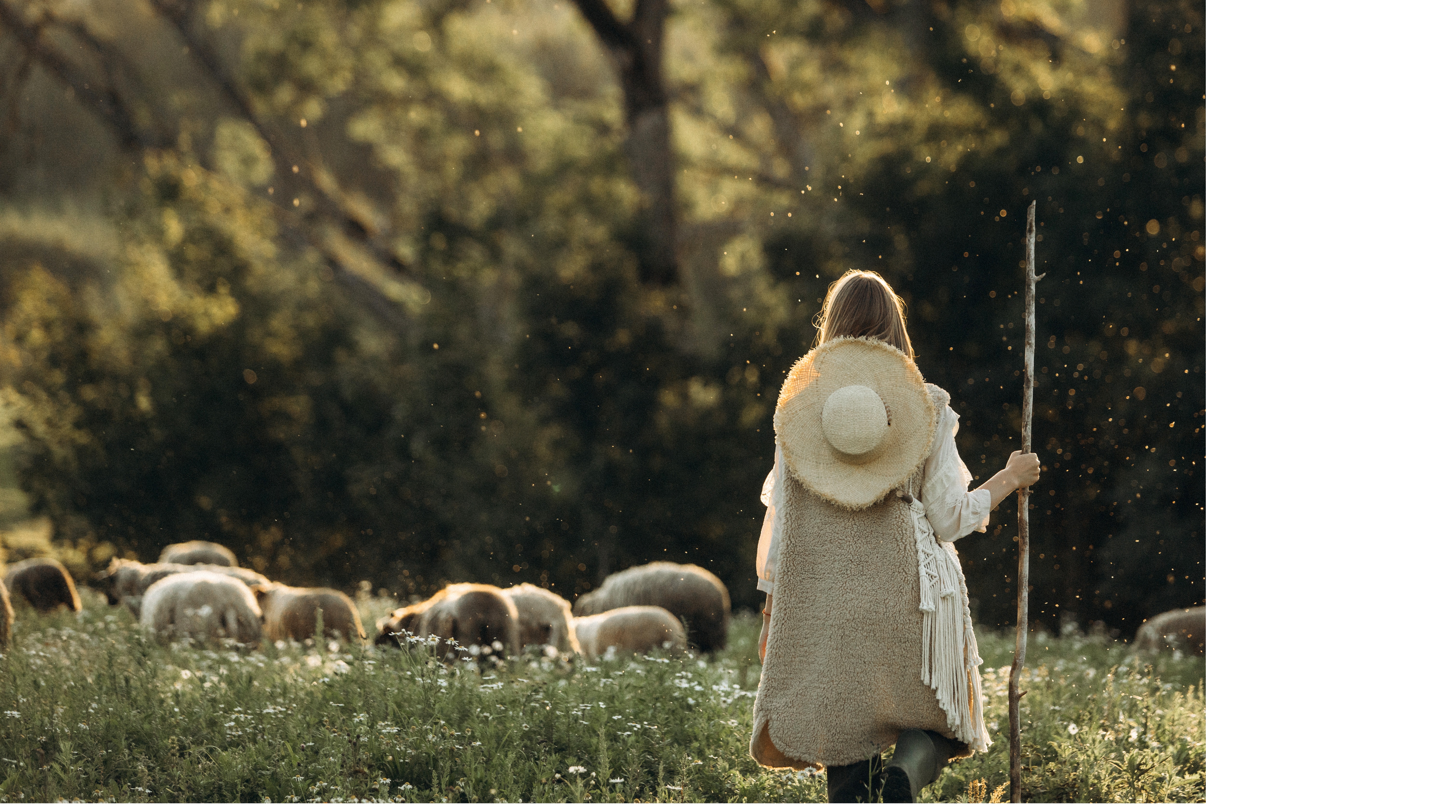 Свадебная фотография