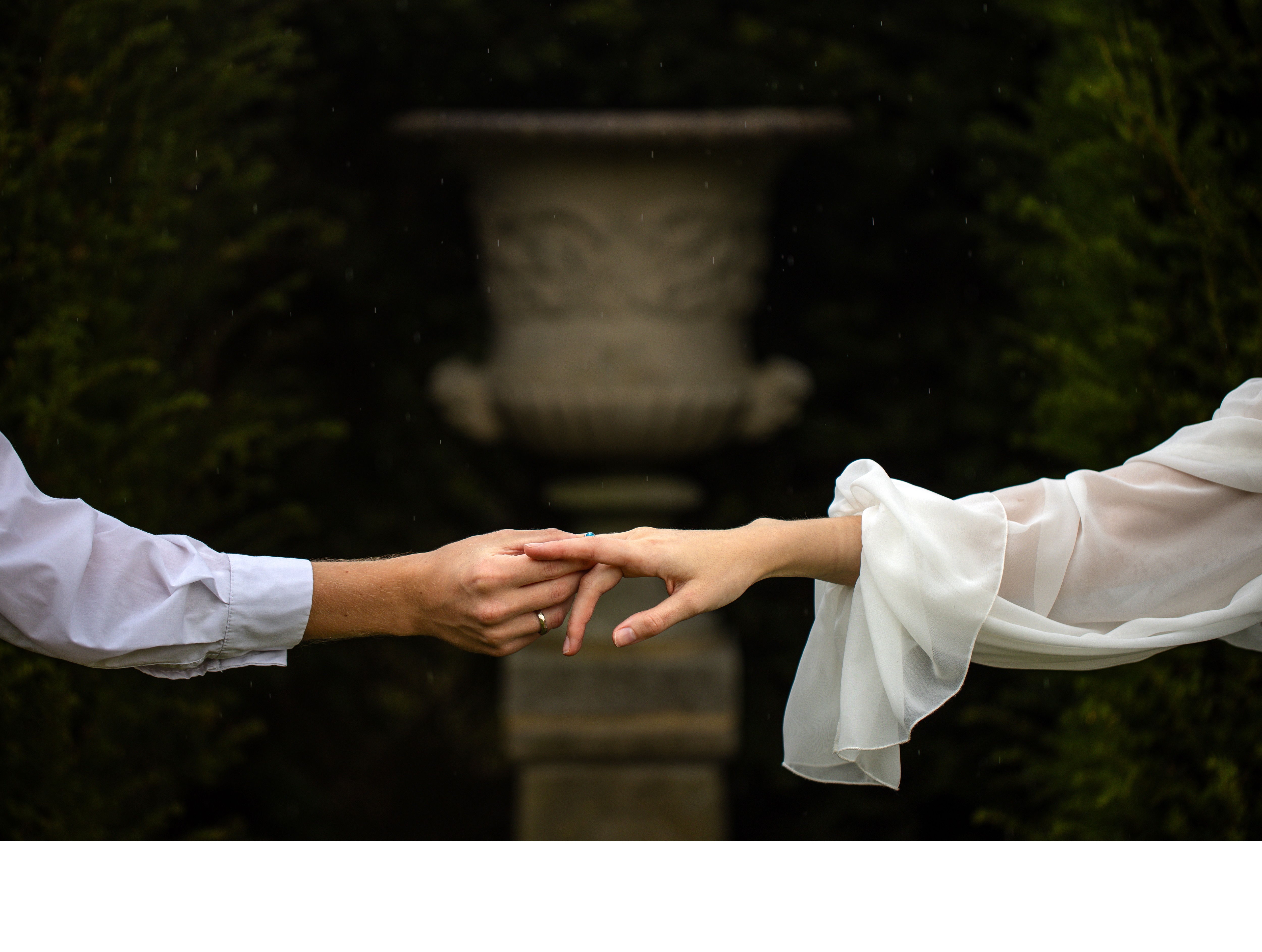 Свадебные фотографии